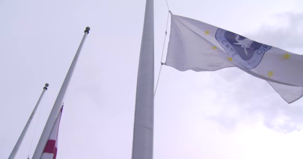 Cape Coral releases 342 DOGE audit documents for residents to review | Lee County