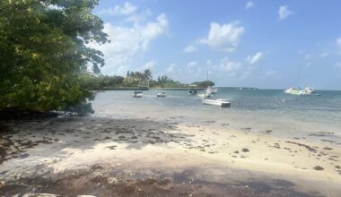 Seaquarium developer responds to Key Biscayne’s marina concerns | Key Biscayne