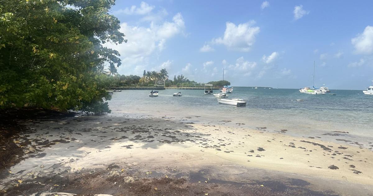 Seaquarium developer responds to Key Biscayne’s marina concerns | Key Biscayne