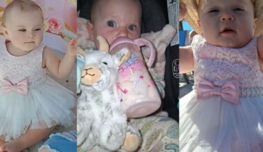 911 calls released in death of 17-month-old left in hot car in Fort Myers | Lee County