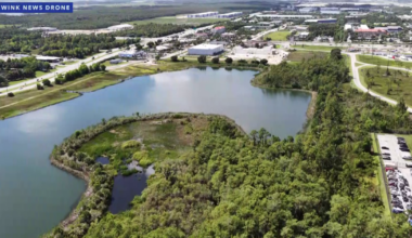 Fort Myers may turn 40 acres on Treeline Avenue into a nature park | Lee County