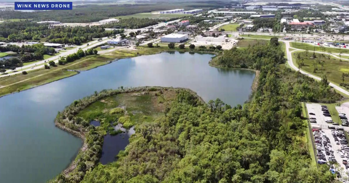 Fort Myers may turn 40 acres on Treeline Avenue into a nature park | Lee County