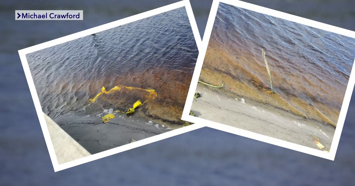Seawall dispute: retired first responder’s $30K fix sparks battle over quality and trust | Investigations
