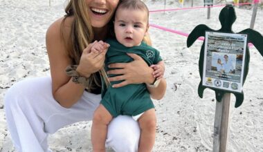 Home Is Where Sea Turtles Return | Community