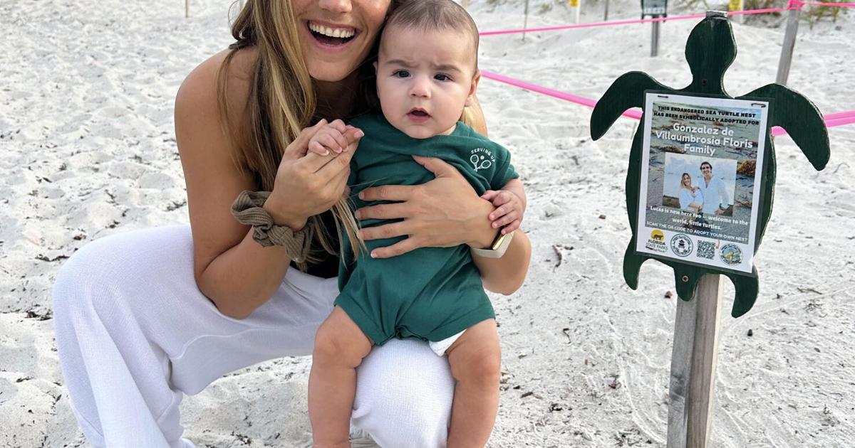 Home Is Where Sea Turtles Return | Community