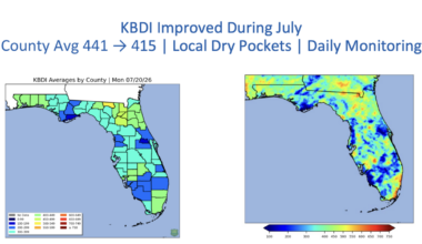 Charlotte County lifts burn ban | The Daily Sun