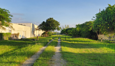 Ludlam Trail advances without full funding | Key Biscayne