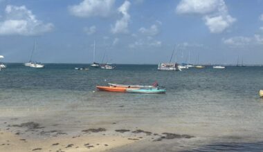 Hottest day of the year forecast for Key Biscayne | Key Biscayne