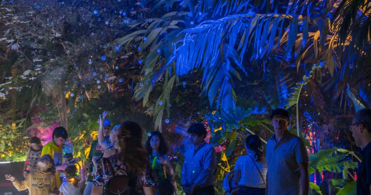 Weekend local calendar of events and activities packed with fun options for the entire family | Key Biscayne