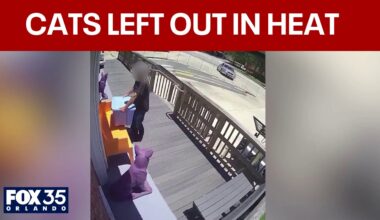 Florida shelter warns against leaving animals unattended in heat