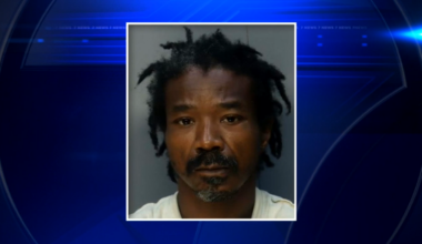 Man arrested, accused of assault and battery after attack on dog, owner in Wynwood - WSVN 7News | Miami News, Weather, Sports