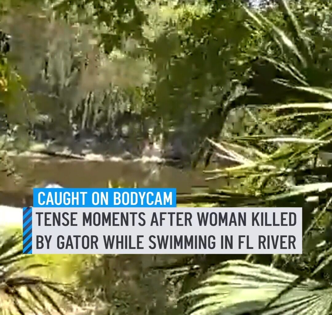 Body camera video shows the tense moments a deputy responded after a woman was fatally attacked by an alligator while swimming in a Florida river. In the footage, released by the Seminole County Sheriff's Office, the deputy runs through a wooded area before reaching the scene along the river, where it appears the victim is under a covering being assisted by a man. Two large gators, a 13-footer and a 12-footer, were later captured in the area, and DNA testing was being conducted to determine if either of them attacked the woman, officials said. #gator #florida #attack #bodycam #swimming
