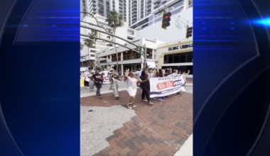 Demonstrators take to the streets in downtown Fort Lauderdale to demand protections for democracy, healthcare access - WSVN 7News | Miami News, Weather, Sports