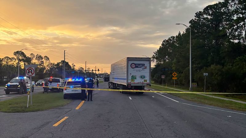 Person fleeing ICE agents in Florida fatally struck by vehicle, highway patrol says