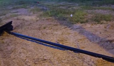 Florida police investigate 4 damaged Flock cameras