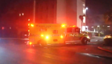 1-year-old boy in stable condition after dog bite in Southwest Miami-Dade - WSVN 7News | Miami News, Weather, Sports