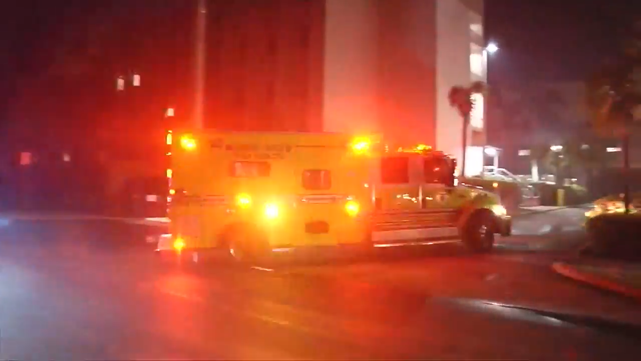1-year-old boy in stable condition after dog bite in Southwest Miami-Dade - WSVN 7News | Miami News, Weather, Sports