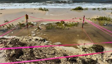 Tropical Storm Bertha washes away Florida sea turtle nests