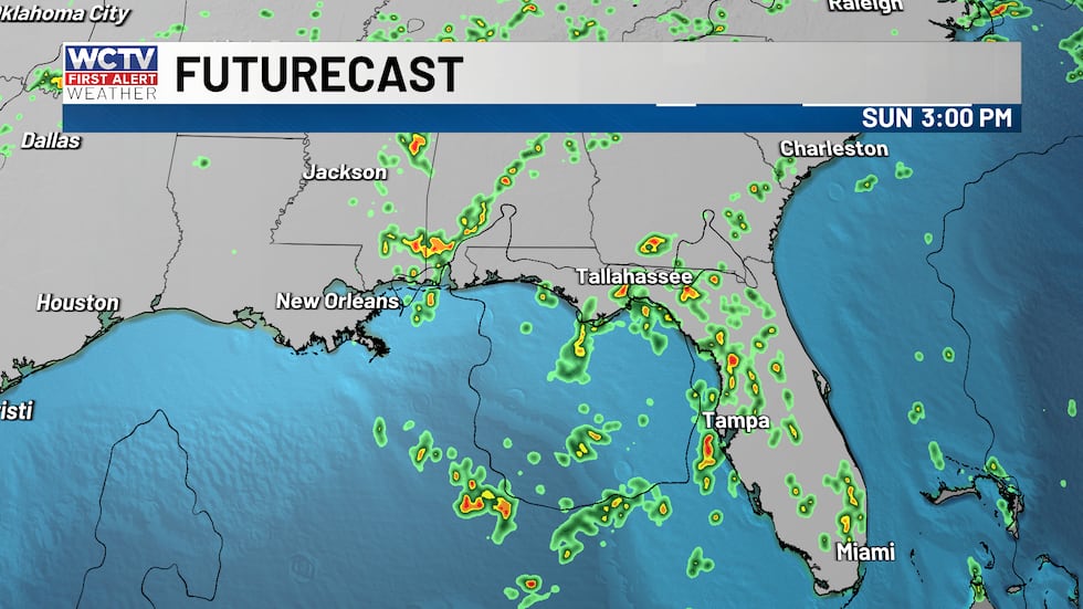 Scattered thunderstorms from disorganized rainbands this afternoon.