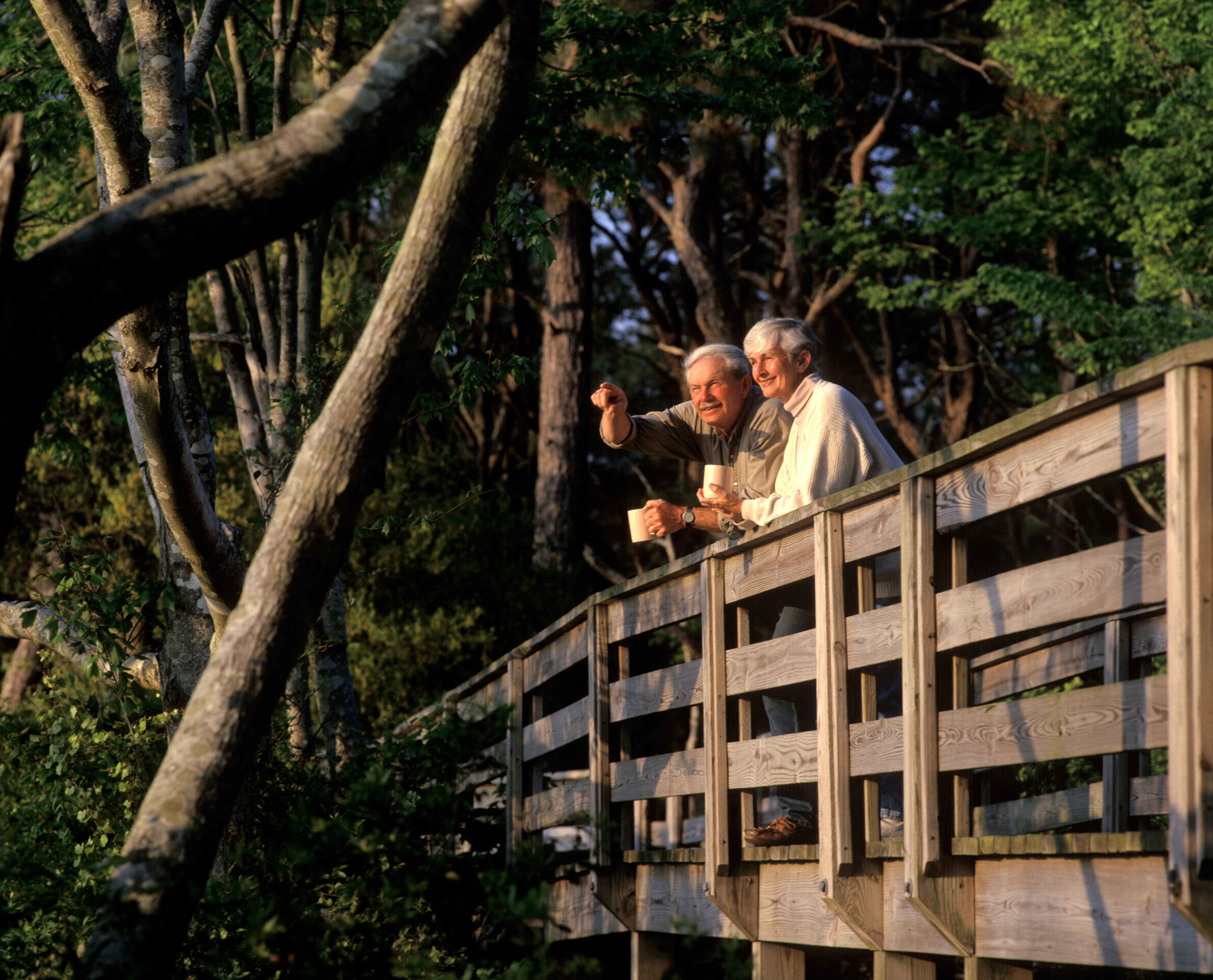A68NHP Senior couple enjoying the view from a walking bridge Outer Banks North Carolina