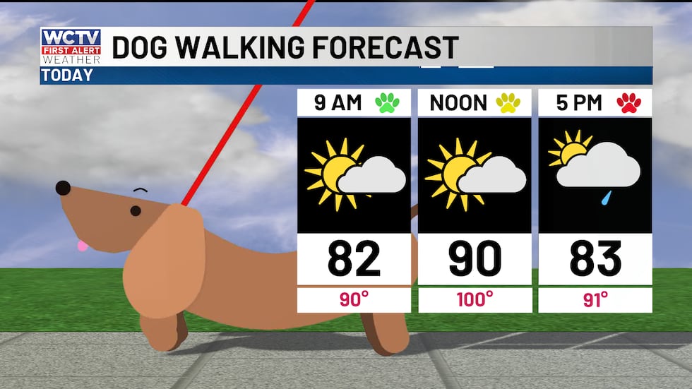 Hot this afternoon with showers and storms becoming likely.