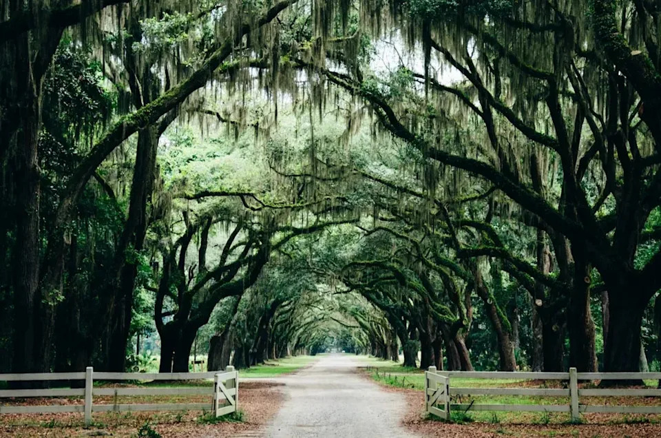 6. Savannah, Georgia (Image Credits: Unsplash)