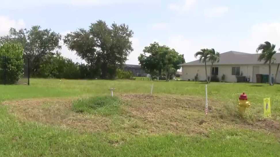 Circle mowed around burrowing owl nest leaves Cape Coral homeowner seeking answers