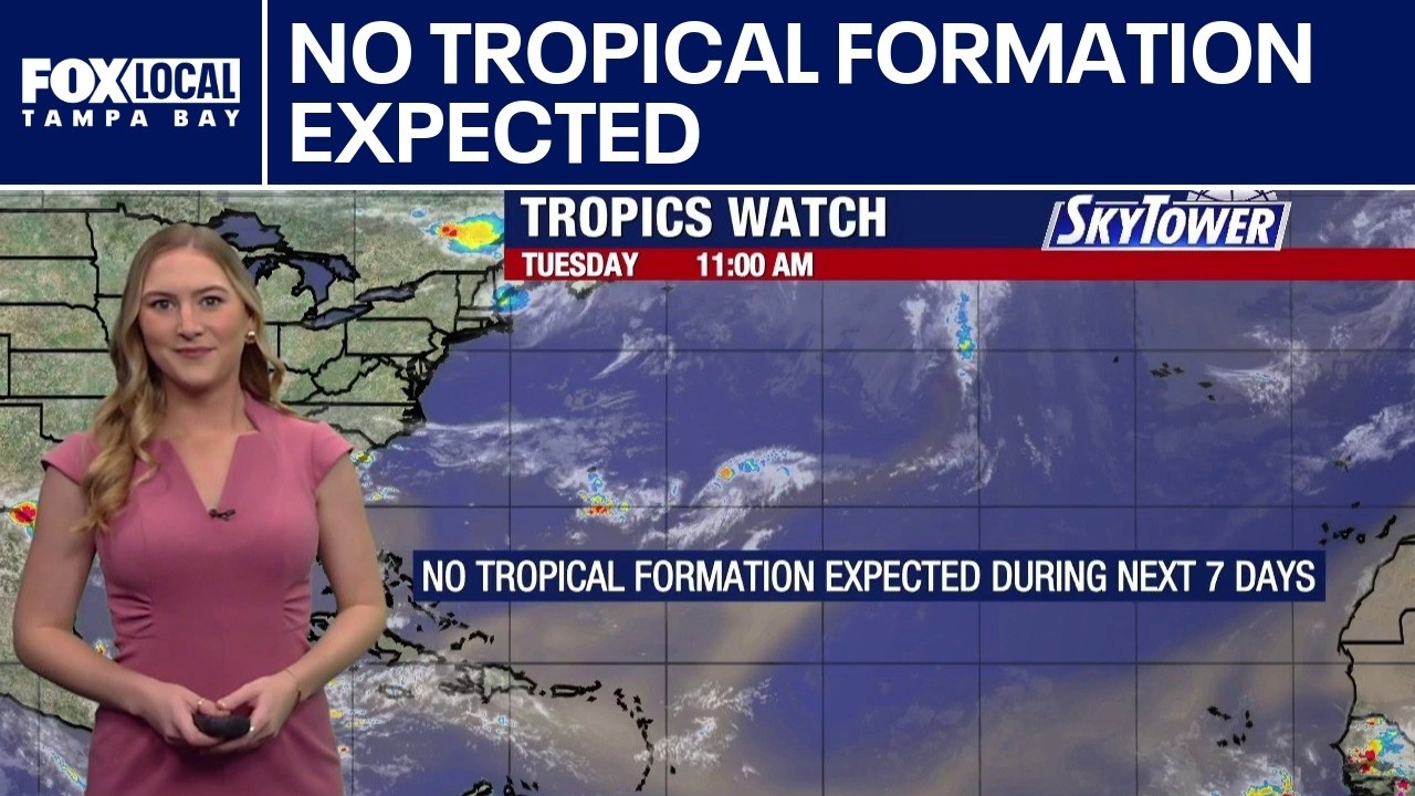 Today's tropical weather forecast | FOX 13 Tampa Bay