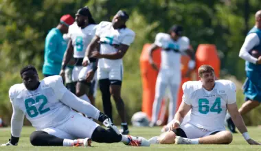 Dolphins fans had strong reaction to social take on Miami's roster