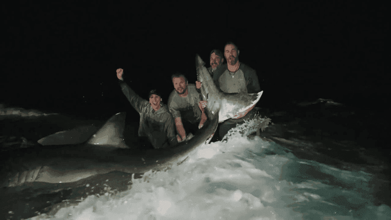 January 23, 2026 — Anglers on Pensacola Beach, guided by shark fishermen Dylan Wier and Blaine Kenny of Coastal Worldwide, reeled in and safely released a rare 12‑ to 13‑foot, 1,000‑pound great white shark during a 48‑hour trip, an extraordinary catch highlighting both the surprise of the crew and the apparent health of Gulf waters where great whites have increasingly been spotted. (CNN Newsource)