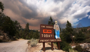 Florida man faces 10 years for stealing Smokey Bear signs