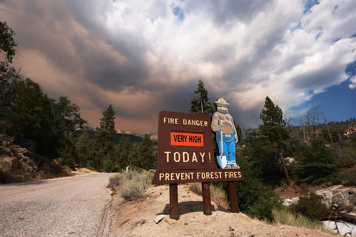 Florida man faces 10 years for stealing Smokey Bear signs