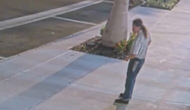 Police arrest man suspected of being involved in vandalizing a building in downtown St. Pete