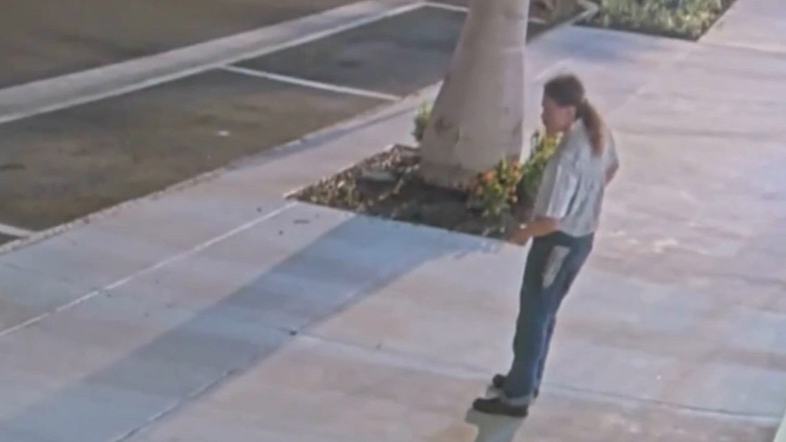 Police arrest man suspected of being involved in vandalizing a building in downtown St. Pete