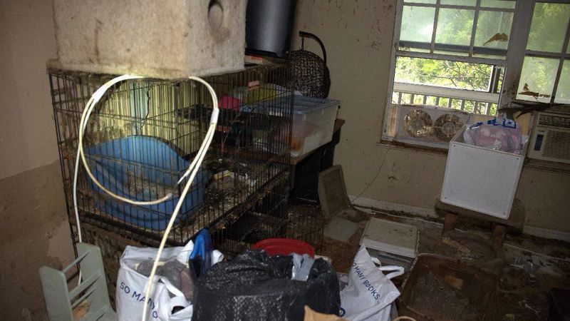 Pet Reunions Planned After Massive Martin County Animal Rescue, New Body Cam Released. (Martin County Sheriff's Office)