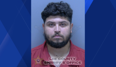 Florida man sentenced to prison for killing brother