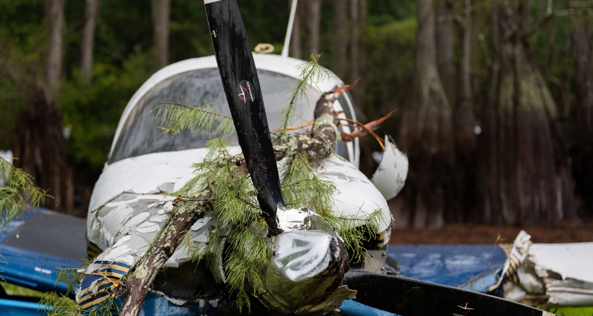 Pilot survives plane crash near Cascade Lake in Tallahassee