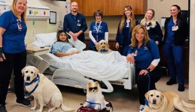 Orlando Health's pet therapy program offers comfort to patients and families