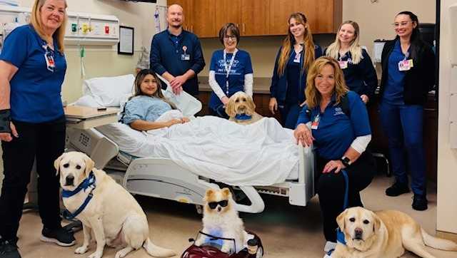 Orlando Health's pet therapy program offers comfort to patients and families