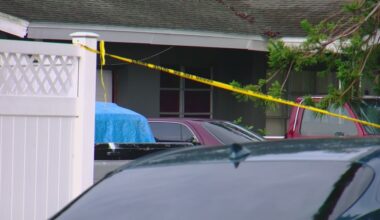 Suspect in custody after man, family dog found dead in St. Pete