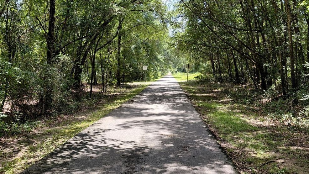 A photo that Tim Mayhair says was taken on Thursday, June 25th of the Blackwater Heritage State Trail, the same day he believes he encountered a Florida panther.