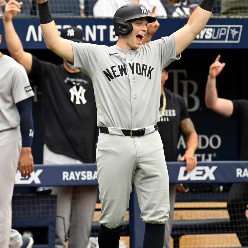 Rice homers twice to help Yankees split series with Rays – Trentonian