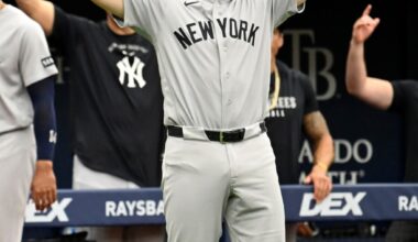 Rice homers twice to help Yankees split series with Rays – Trentonian