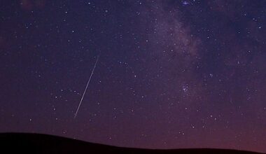 Perseid meteor shower to light up night sky. Here’s when you need to look up!