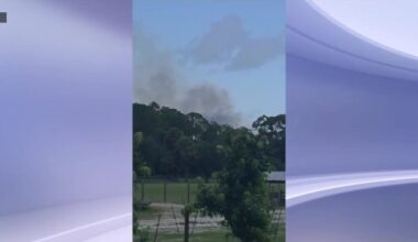 Martin County brush fires contained, but Florida Forest Service says more expected this summer