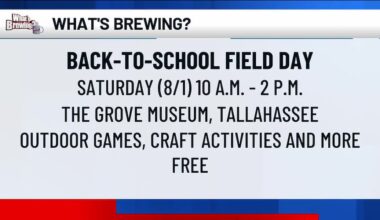What’s Brewing - Back-to-school field day