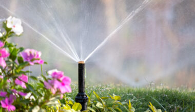 A garden sprinkler sprays water over a lush, green lawn. In the foreground, there are vibrant pink and white flowers. The scene is sunlit, creating a refreshing atmosphere.