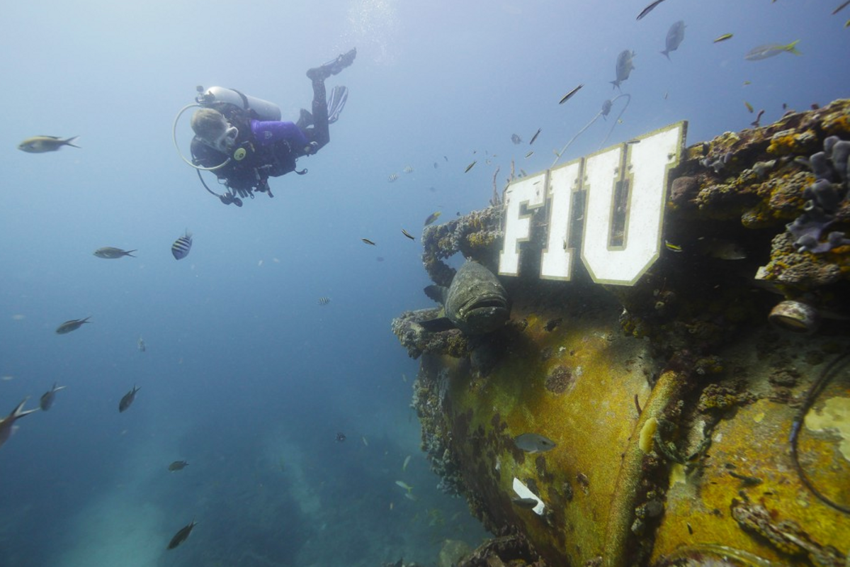 A shot of Aquarius, the first underwater research facility offshore in the Florida Keys. It’s now operated by Florida International University.