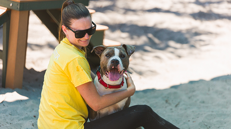 Broward County Animal Care Waives Adoption Fees Through July 26 During National Campaign – Parkland Talk
