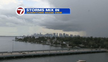 Rainy Rounds - WSVN 7News | Miami News, Weather, Sports